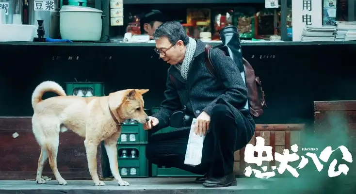 搜狐视频对所在地区不提供服务吗